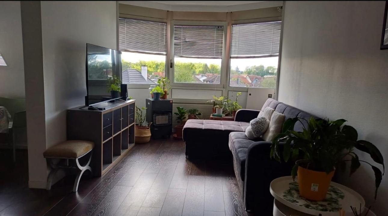 Habitacion Privada Wolfisheim Eksteriør billede